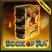 Juego máquina de bar Book of Ra Deluxe de NOVOMATIC.